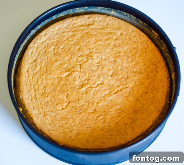 A selection of fresh ingredients including cream cheese, pumpkin puree, and spices, laid out for a pressure cooker pumpkin cheesecake recipe.