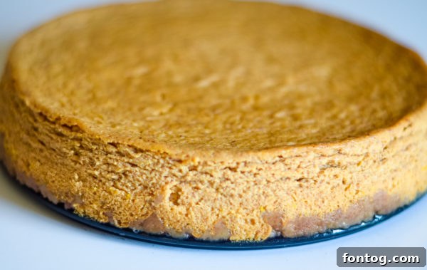 A slice of creamy pressure cooker pumpkin cheesecake on a plate, adorned with a swirl of whipped cream and a dusting of pumpkin pie spice.
