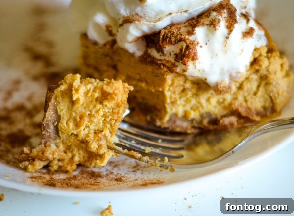 Pressure cooker pumpkin cheesecake slice served with coffee, showing the creamy texture and inviting presentation.