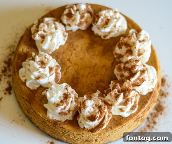 Whole gluten free pumpkin cheesecake with a golden crust and smooth top, ready to be sliced and served.