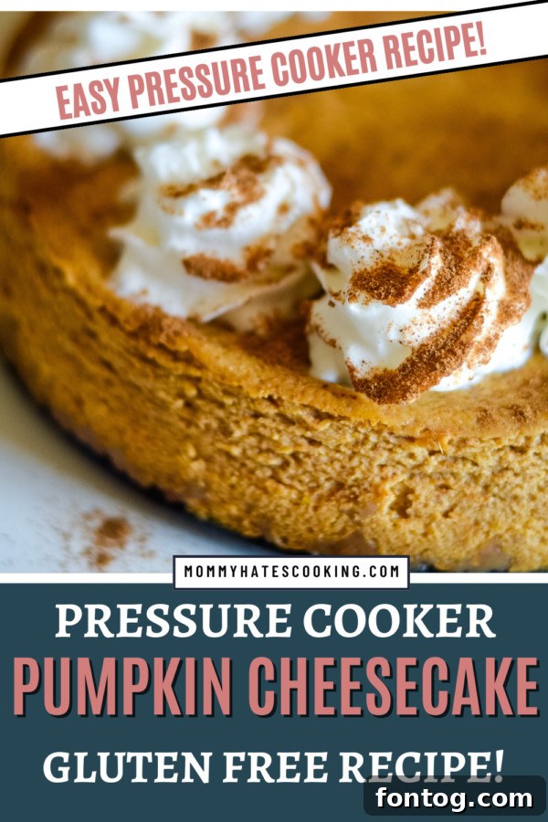 Full pressure cooker pumpkin cheesecake, beautifully set and ready for a festive autumn gathering.