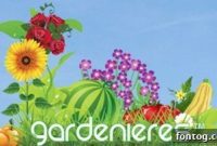 Cultivating Autumn: Fresh Ideas for Your Fall Garden