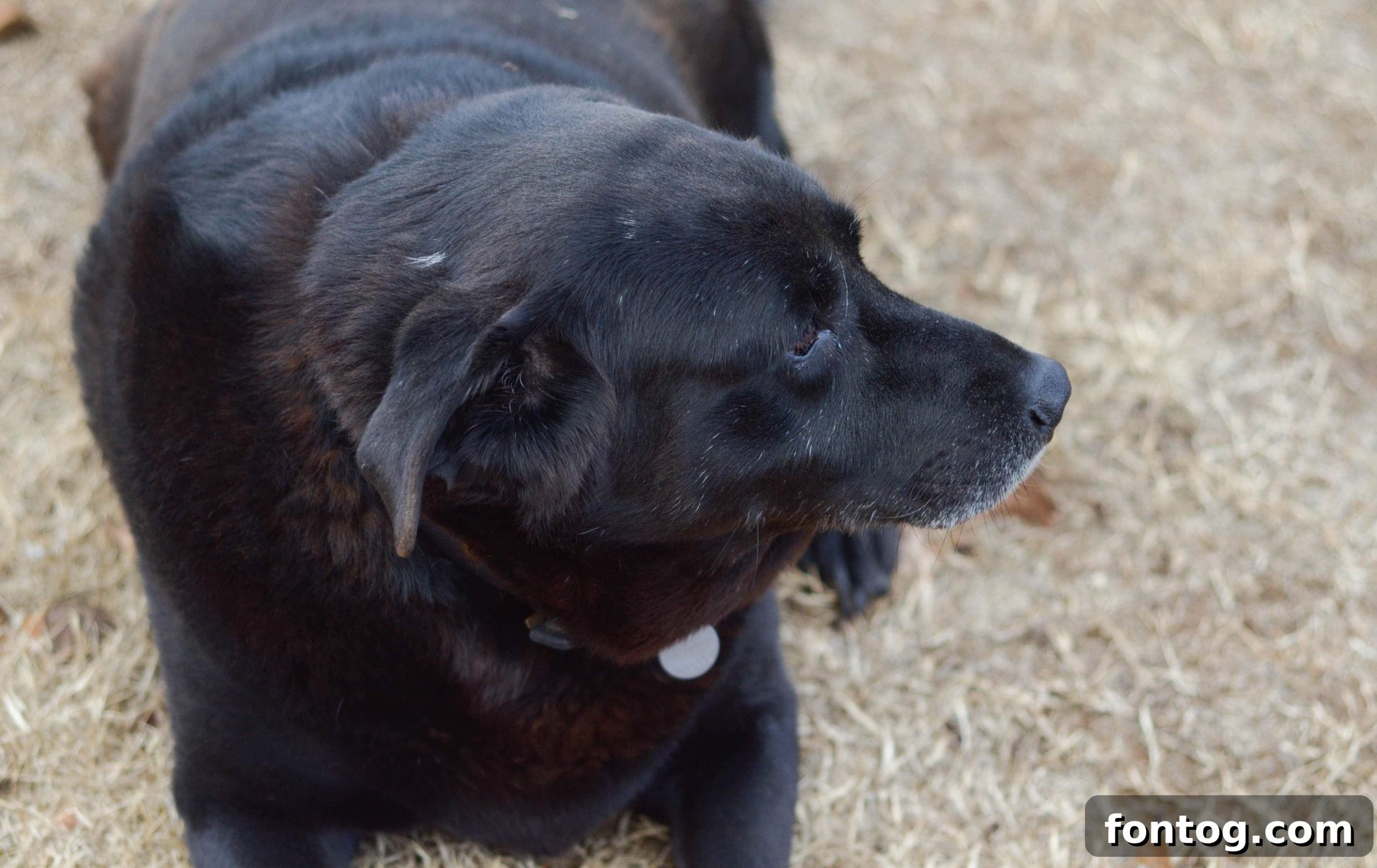 featured 37937 scaled