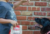 5 Essentials Every New Puppy Needs