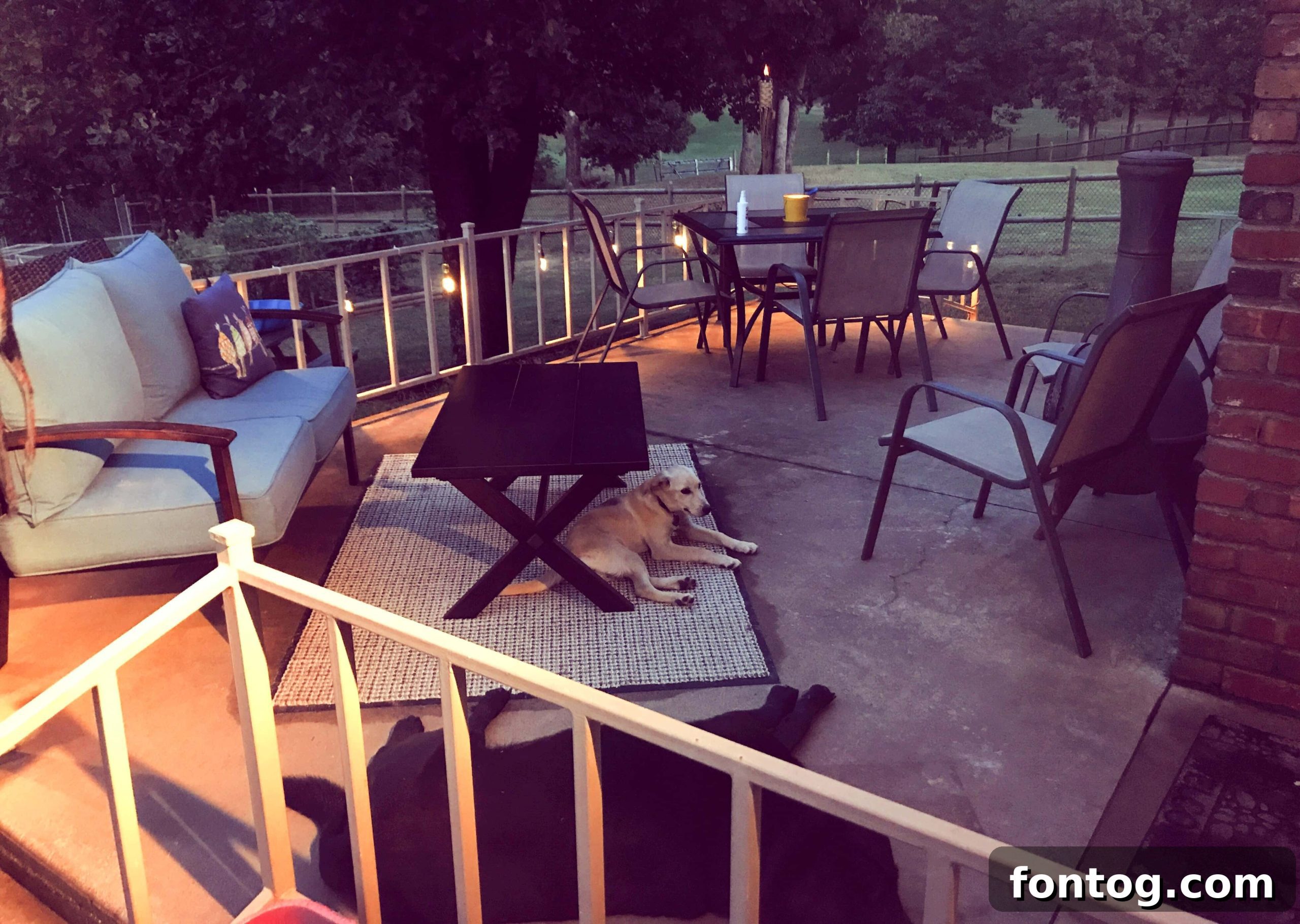 featured 45482 scaled