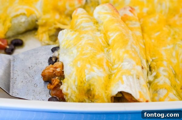 Indulgent Cheesy Chicken Enchiladas in Just 30 Minutes 3 Ingredients for Cheesy Chicken Enchiladas including tortillas, cheese, chicken, and sauce.