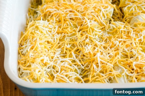 Indulgent Cheesy Chicken Enchiladas in Just 30 Minutes 5 Variety of tortillas next to baked cheesy chicken enchiladas.