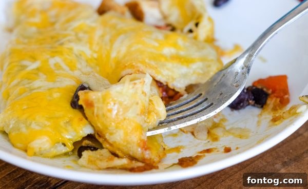 Indulgent Cheesy Chicken Enchiladas in Just 30 Minutes 6 Top view of cheesy chicken enchiladas with a rich red sauce.