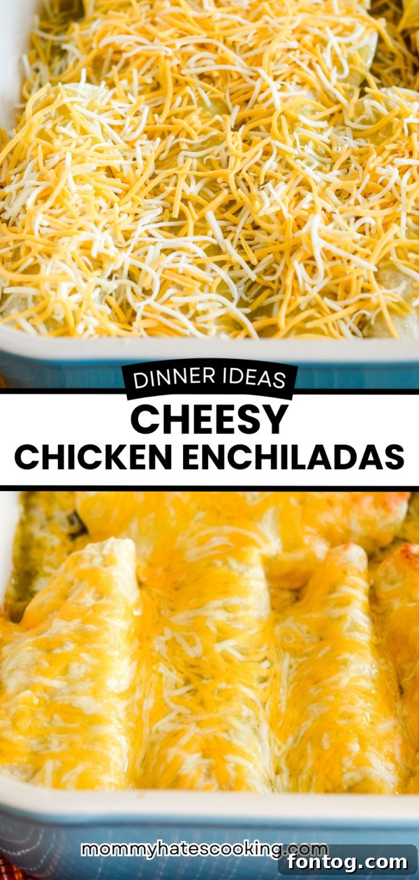 Indulgent Cheesy Chicken Enchiladas in Just 30 Minutes 8 Large image of cheesy chicken enchiladas in a baking dish, ready to serve.