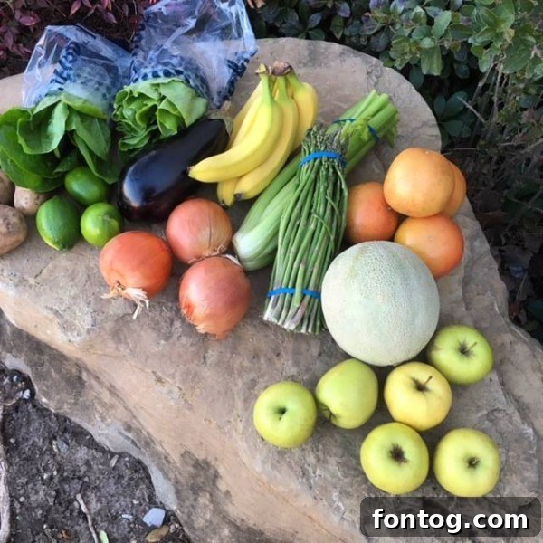 Tropical Salsa - Ready to Serve