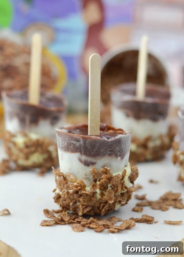 Delicious Cocoa Pudding Pops made with Mom's Best Cereal