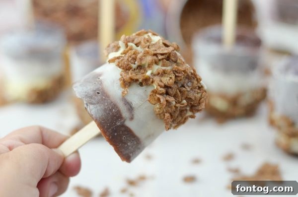 Ingredients for Cocoa Pudding Pops