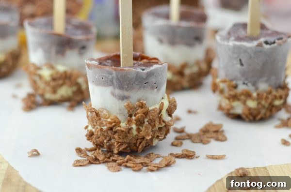Finished Cocoa Pudding Pops with sprinkles