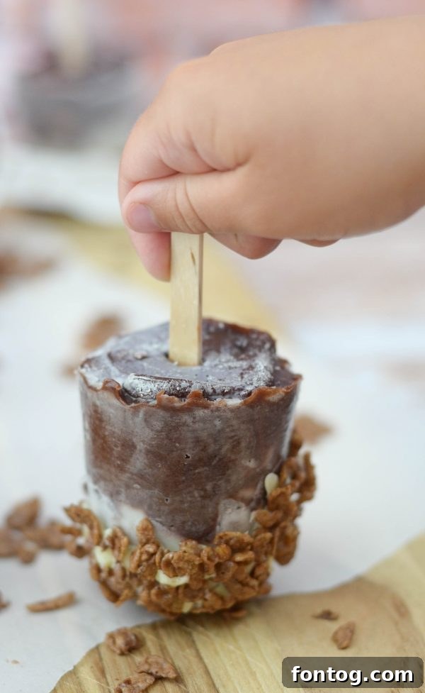 Closeup of Cocoa Pudding Pop
