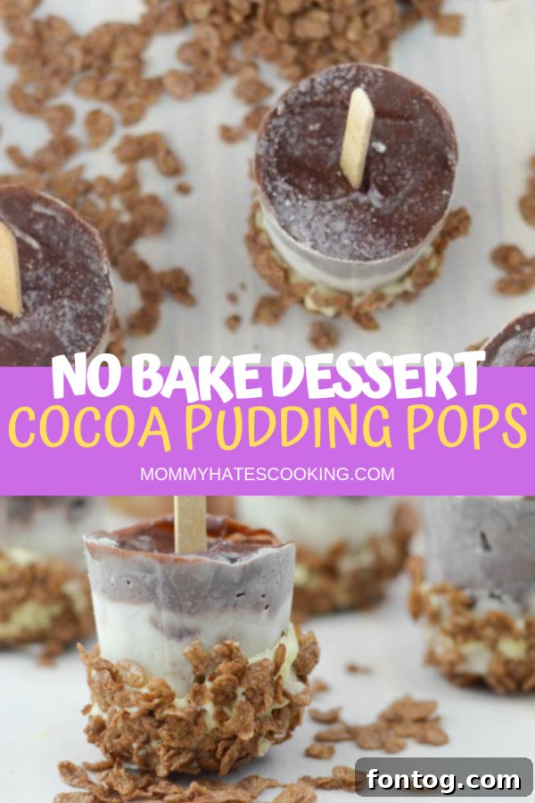 Final image of Cocoa Pudding Pops