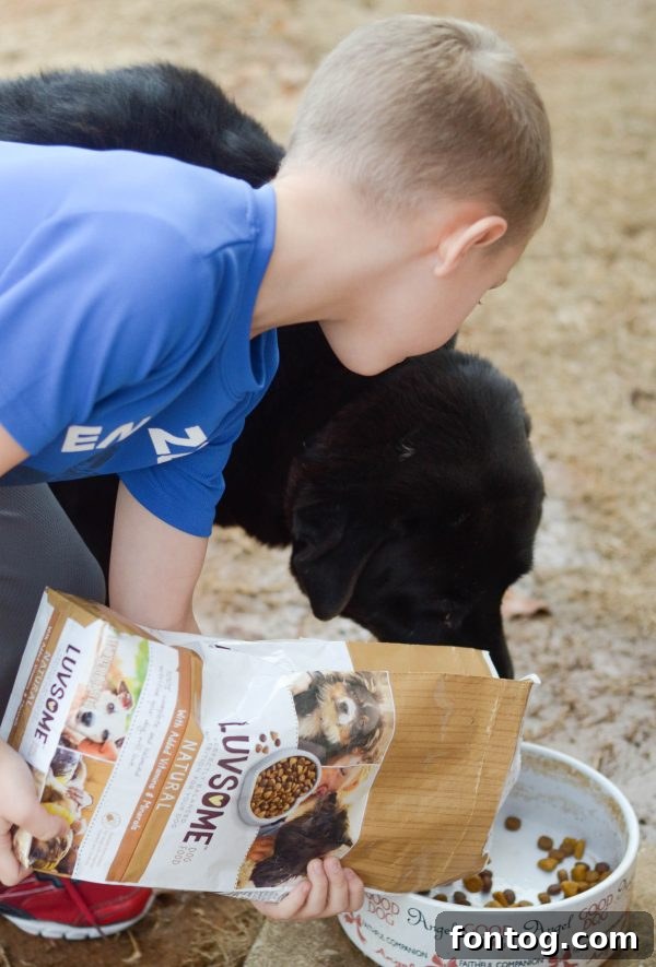 Luvsome Dog Food - Large Labrador Mix Dog May Relaxing