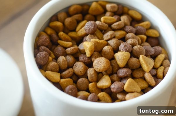 Luvsome Dog Food - May the Labrador Mix Resting Peacefully