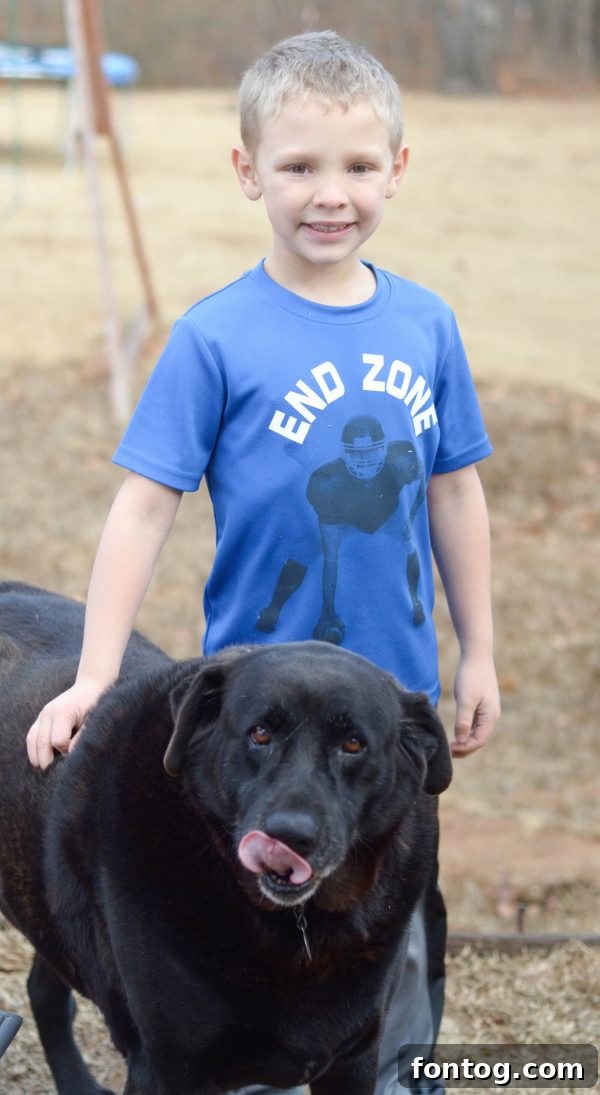 Luvsome Dog Food - Large Bag of Dog Food Next to a Bowl