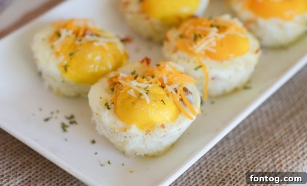 Breakfast Hash Brown Nests 12 Individual Hash Brown Egg Cups, ready to eat, topped with cheese.