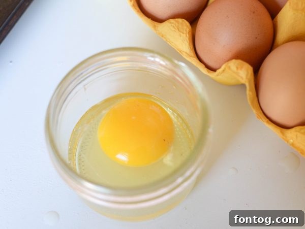 Breakfast Hash Brown Nests 6 Muffin tin filled with browned hash brown bases.