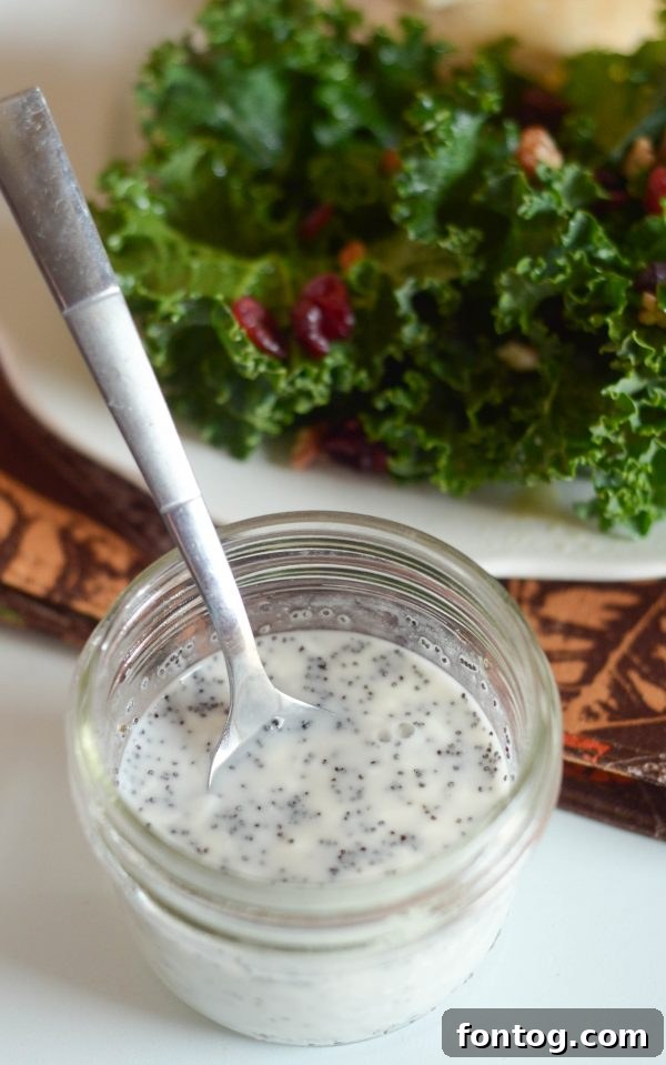 Warm Cheesy Chicken Cranberry Kale Salad 5 Cranberry Kale Salad with Chicken Melts