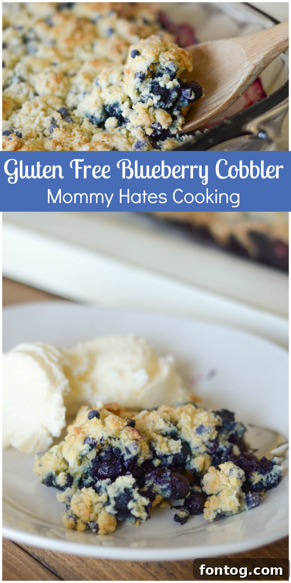 From Kitchen Creation to Country Celebration: My CMA Awards Trip and Gluten-Free Cobbler 2 Delicious Gluten Free Blueberry Crumb Cobbler