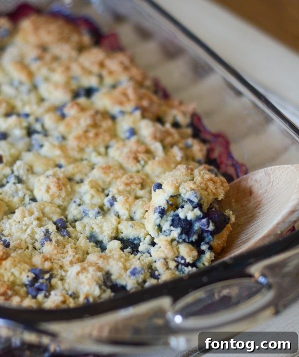 From Kitchen Creation to Country Celebration: My CMA Awards Trip and Gluten-Free Cobbler 4 Close-up of golden brown Gluten Free Blueberry Crumb Cobbler