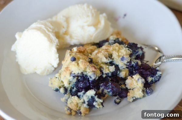 From Kitchen Creation to Country Celebration: My CMA Awards Trip and Gluten-Free Cobbler 5 A slice of Gluten Free Blueberry Crumb Cobbler on a plate