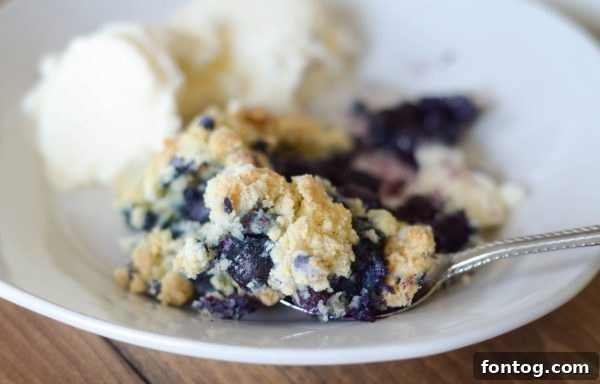 From Kitchen Creation to Country Celebration: My CMA Awards Trip and Gluten-Free Cobbler 7 Side view of Gluten Free Blueberry Crumb Cobbler