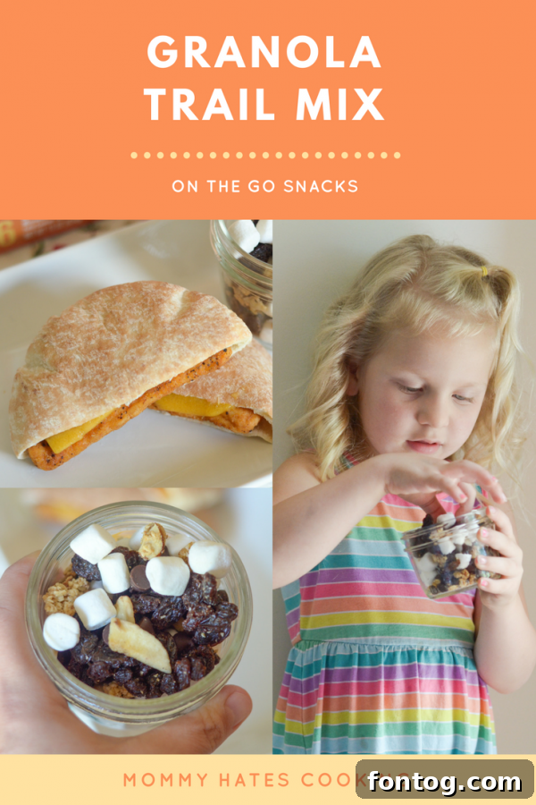 Granola Trail Chicken Melts 2 Delicious Homemade Granola Trail Mix and Savory Chicken Melts for Summer Snacking