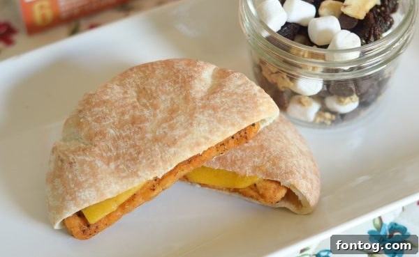 Granola Trail Chicken Melts 11 Ready-to-eat Granola Trail Mix and Chicken Melts for a picnic