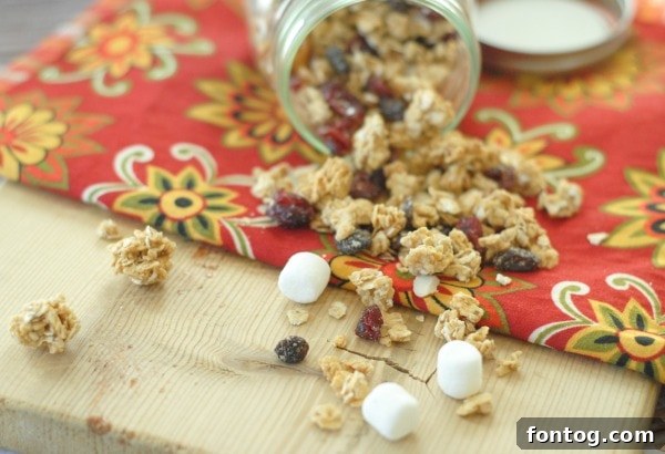 Homemade Granola Trail Mix