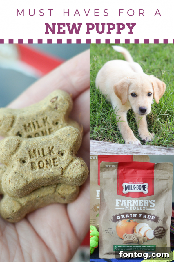Excited family welcoming a new puppy