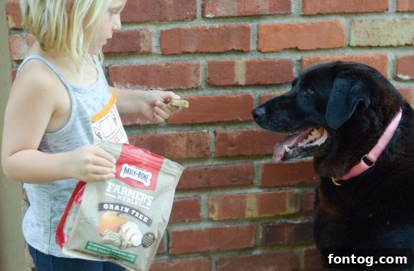 Happy dog with Milk-Bone treats