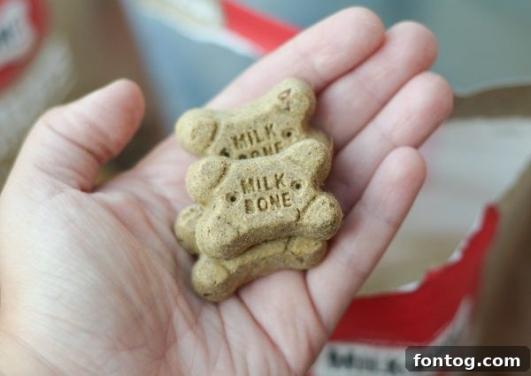 Dog doing a trick for a Milk-Bone treat
