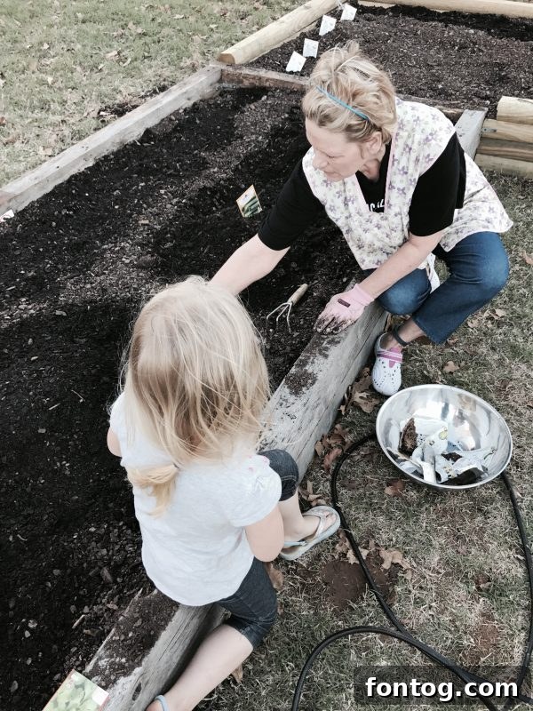 Newly established raised garden beds filled with various young plants
