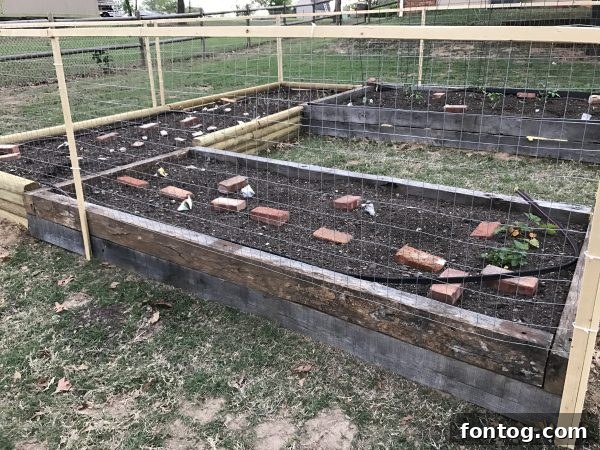 Garden tools neatly arranged beside healthy vegetable plants