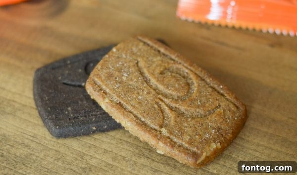 Enjoying Fiber Thins for a Healthy Lifestyle