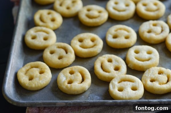 Easy Recipe Chili Cheese Smiles