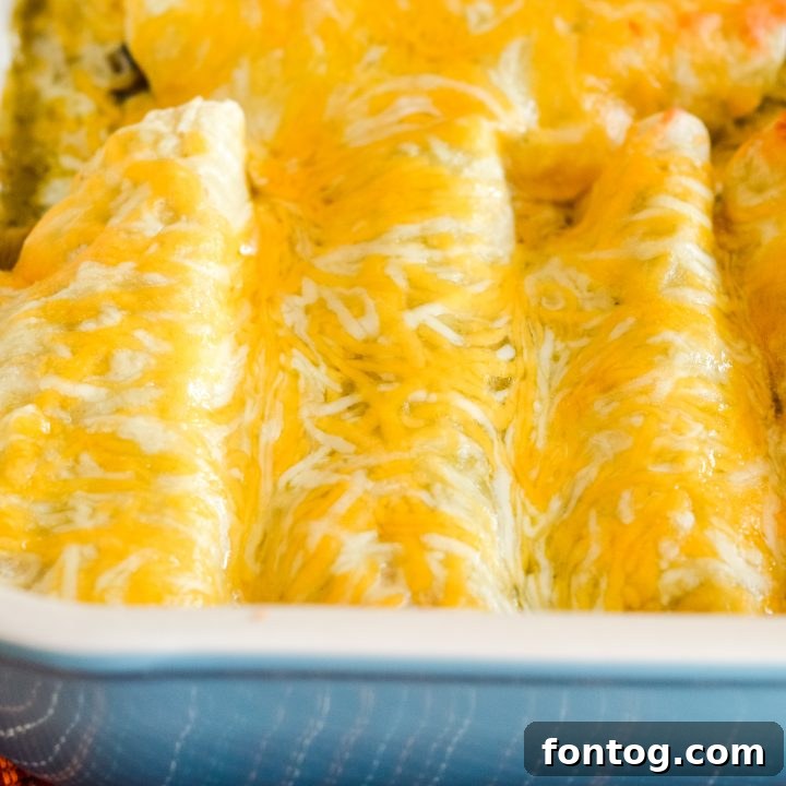 Delicious Easy Cheesy Chicken Enchiladas, baked to golden perfection with melted cheese, a perfect family dinner.