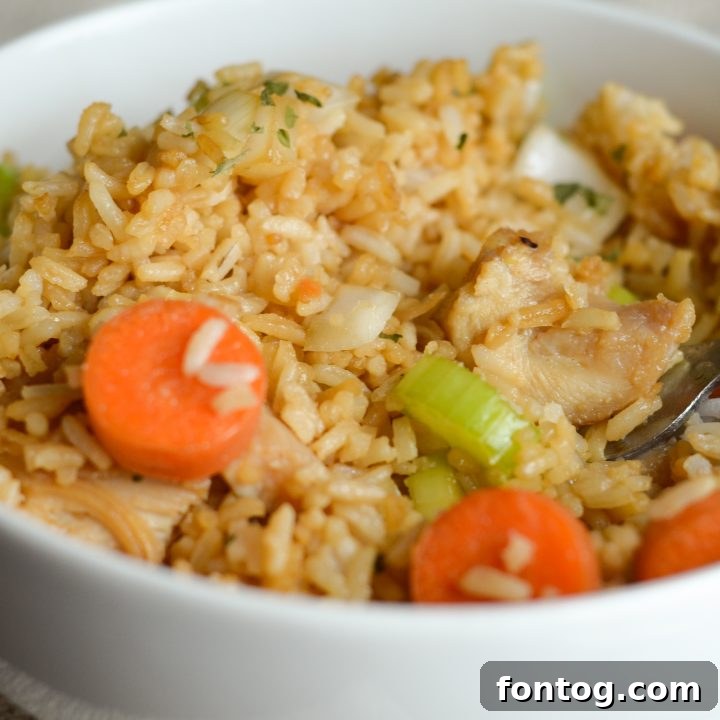 Gluten Free Air Fryer Chicken Fried Rice with vegetables