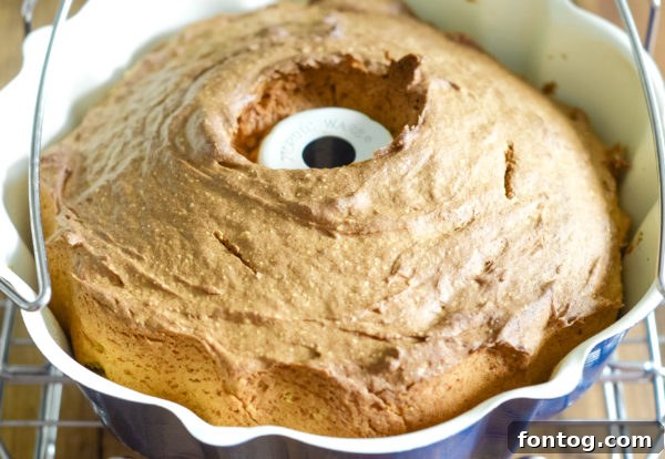 Delicious Pumpkin Bread: Ninja Foodi, Oven Baked, or Gluten-Free 5 Pumpkin bread cooling in a Bundt pan