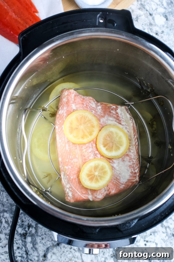 Easy Ninja Foodi Salmon