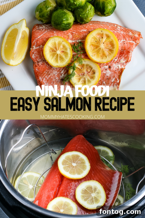 Easy Ninja Foodi Salmon