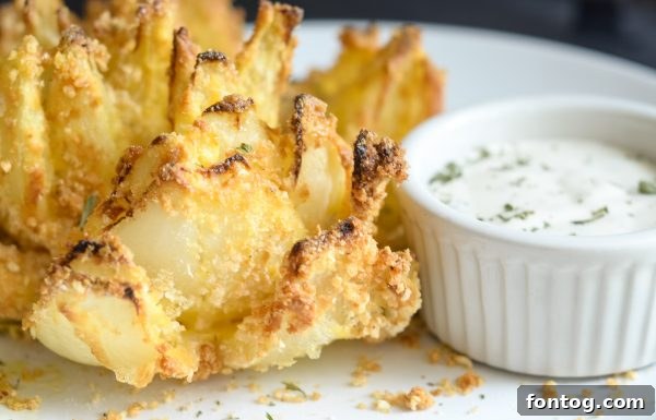 20+ Ninja Foodi Vegetable Recipes