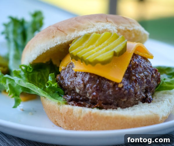 Ninja Foodi Onion Soup Mix Burgers cooking in air fryer
