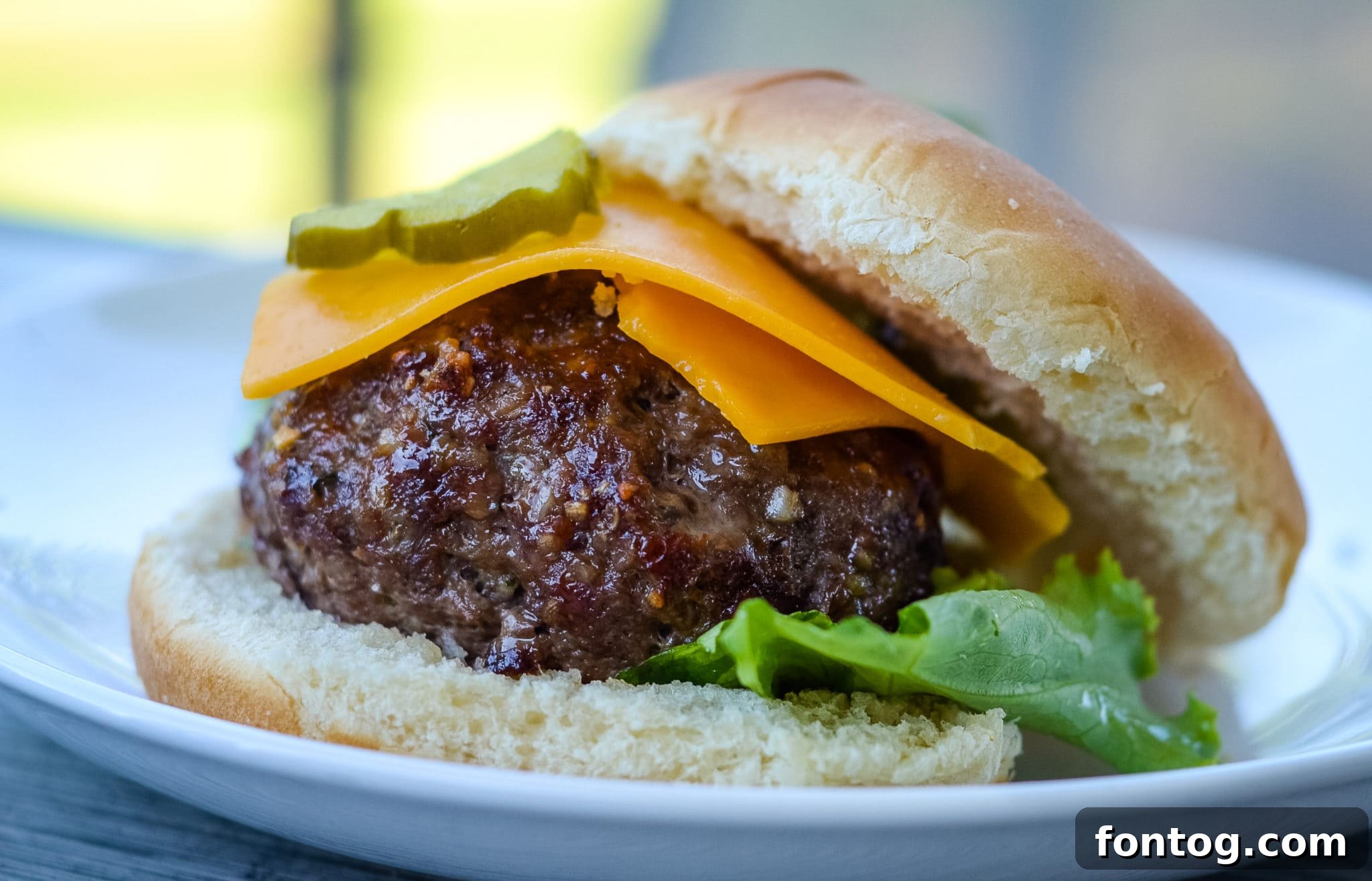 Ninja Foodi Onion Soup Mix Burgers