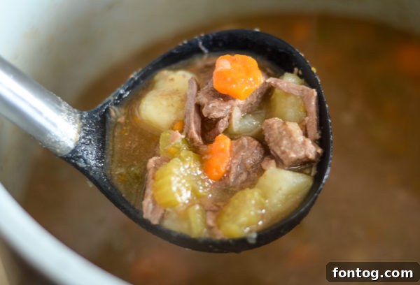 Ninja Foodi Beef Stew (Gluten-Free)