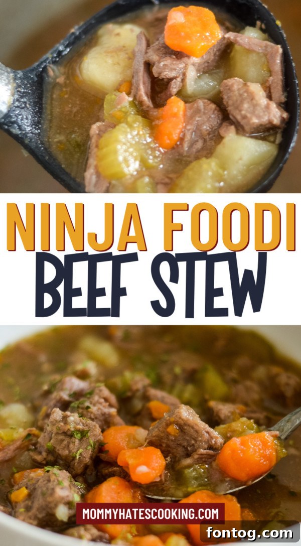 ninja foodi beef stew