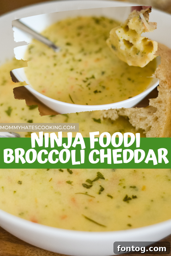 A large, inviting image of the finished Ninja Foodi Broccoli Cheddar Soup, garnished beautifully and ready to be served.